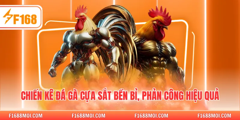 Chiến kê đá gà cựa sắt bền bỉ, phản công hiệu quả